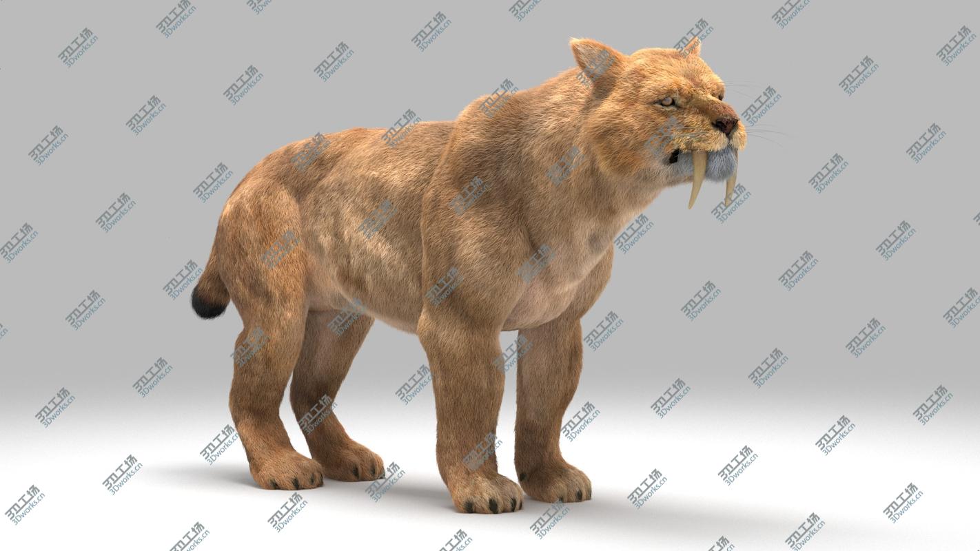 images/goods_img/2021040231/Smilodon Populator 3D model/4.jpg